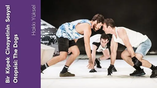 Bir Köpek Cinayetinin Sosyal Otopsisi: The Dogs