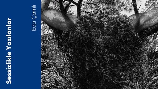 Sessizlikle Yazılanlar