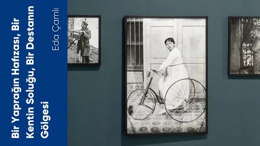 Bir Yaprağın Hafızası, Bir Kentin Soluğu, Bir Destanın Gölgesi