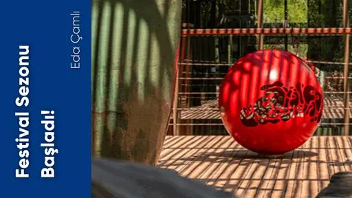 Festival Sezonu Başladı!