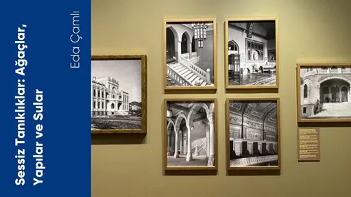 Sessiz Tanıklıklar: Ağaçlar, Yapılar ve Sular