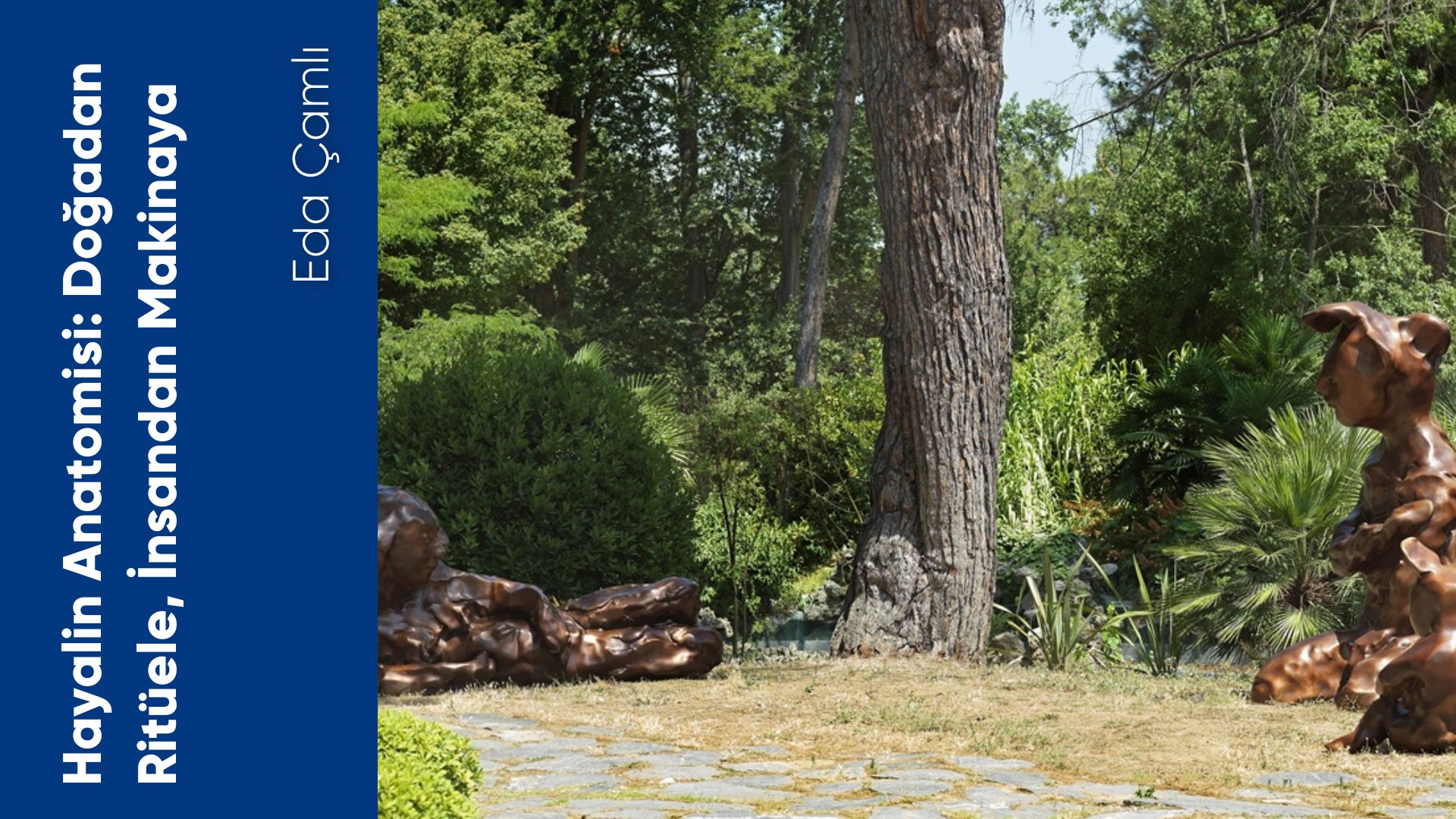 Hayalin Anatomisi: Doğadan Ritüele, İnsandan Makinaya