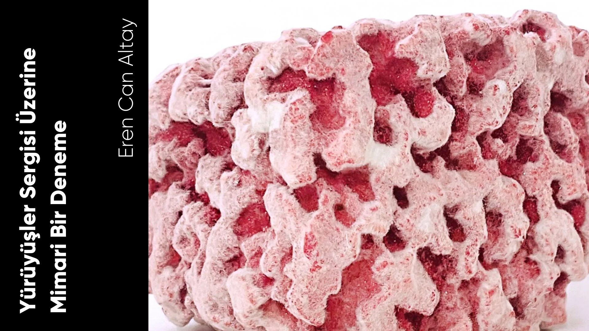 Yürüyüşler Sergisi Üzerine Mimari Bir Deneme