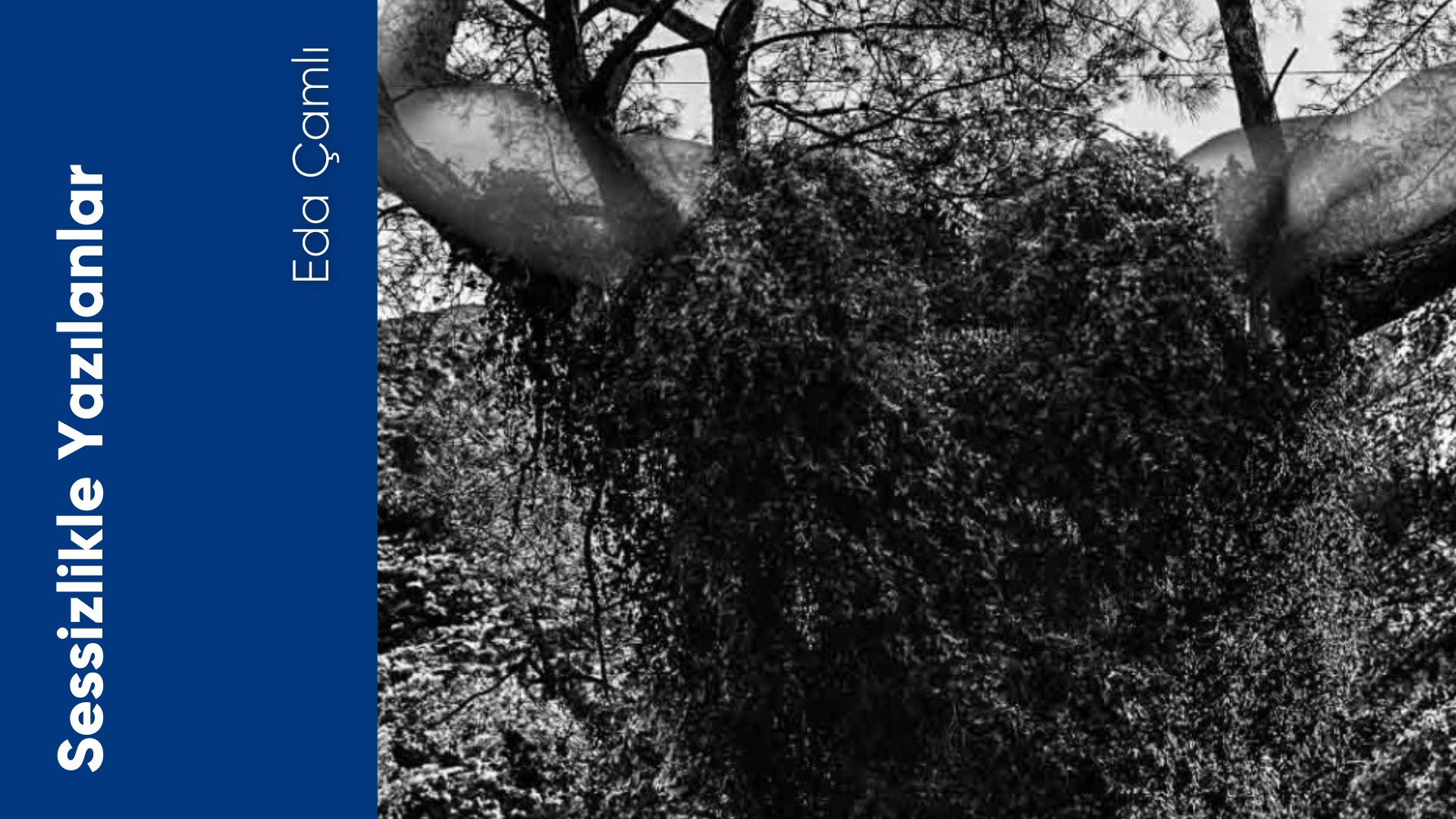 Sessizlikle Yazılanlar